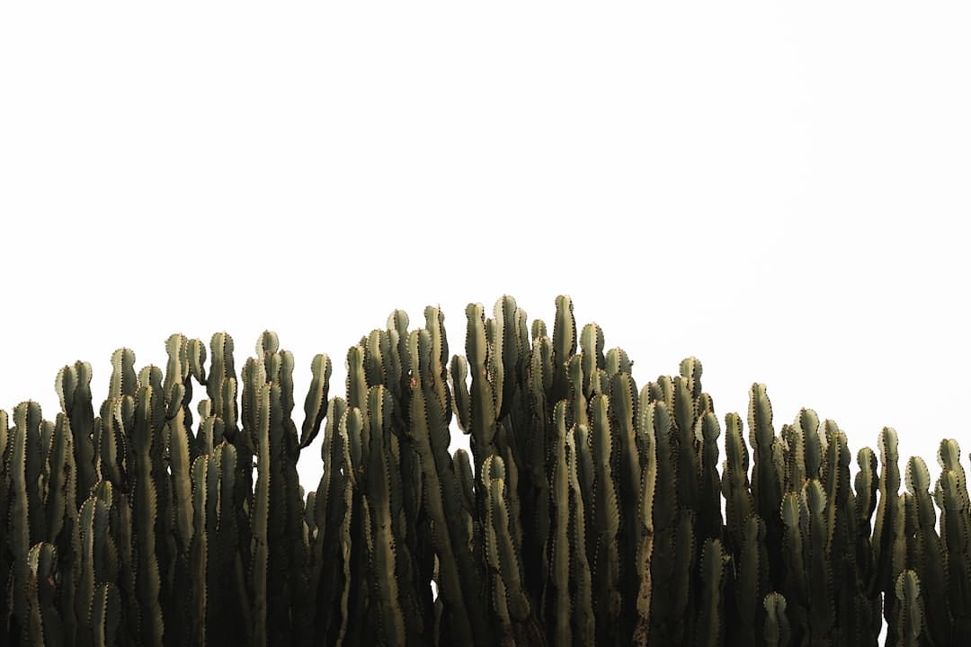 TOP回应参与披荆斩棘的底气：对舞台的敬畏，还有死后“福来”们从未缺席的支撑！
